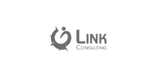 Logo Link Consulting
