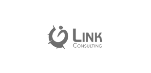 Logotype Link Consuting